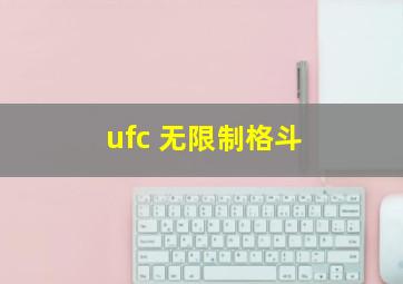 ufc 无限制格斗